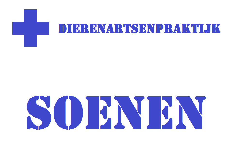 DAP Soenen